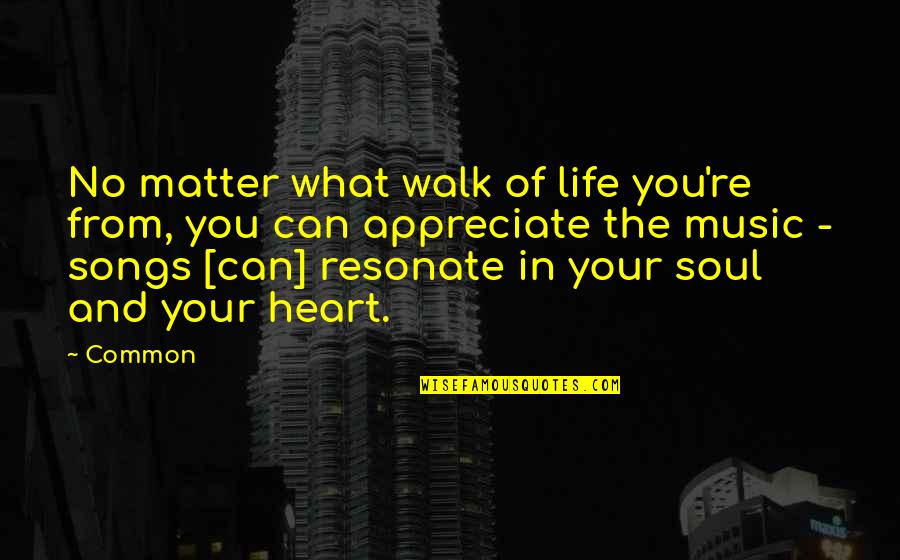 Music And Soul Quotes By Common: No matter what walk of life you're from,