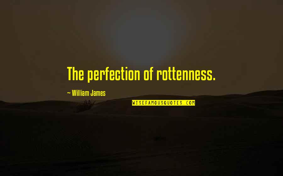 Music Can Change The World Quotes By William James: The perfection of rottenness.