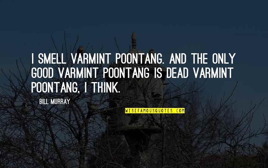 Music Einstein Quotes By Bill Murray: I smell varmint poontang. And the only good