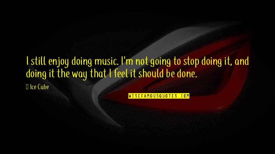 Music Enjoy Quotes By Ice Cube: I still enjoy doing music. I'm not going Music Enjoy Quotes By Ice Cube: I still enjoy doing music. I'm not going