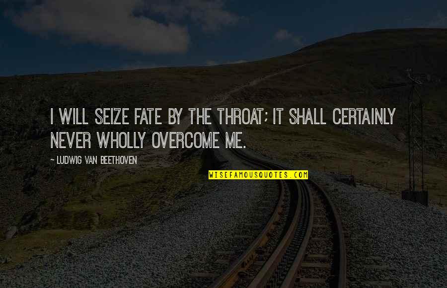 Music Enthusiast Quotes By Ludwig Van Beethoven: I will seize fate by the throat; it