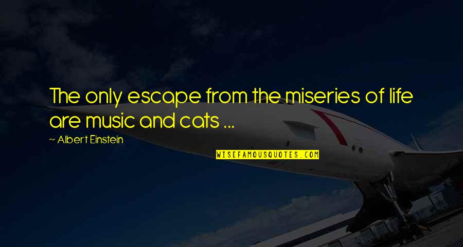 Music Escape Quotes By Albert Einstein: The only escape from the miseries of life