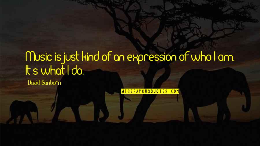 Music Expression Quotes By David Sanborn: Music is just kind of an expression of
