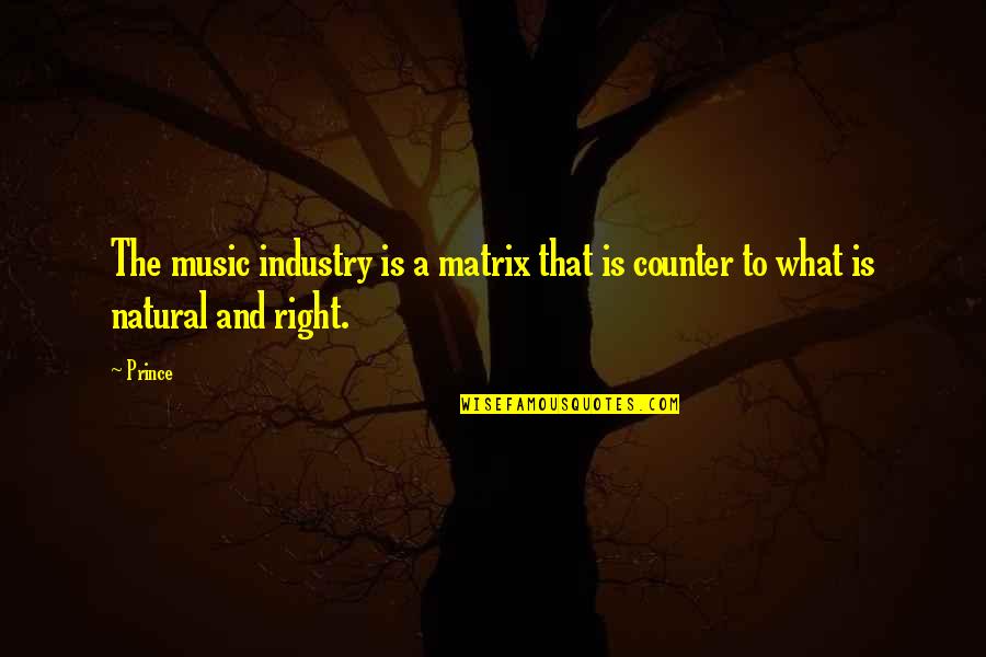 Music Industry Quotes By Prince: The music industry is a matrix that is