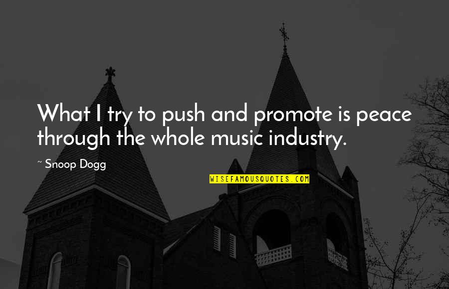 Music Industry Quotes By Snoop Dogg: What I try to push and promote is