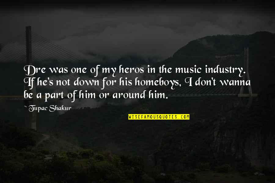 Music Industry Quotes By Tupac Shakur: Dre was one of my heros in the
