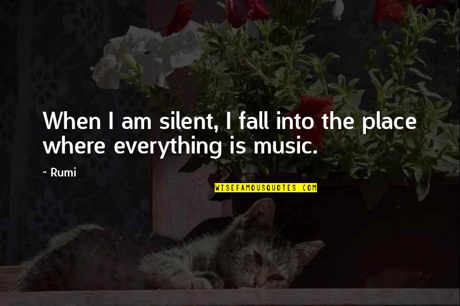 Music Is Quotes By Rumi: When I am silent, I fall into the