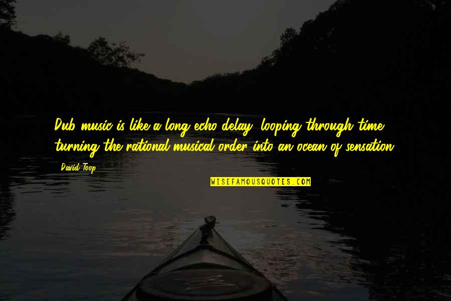 Music Is The Quotes By David Toop: Dub music is like a long echo delay,