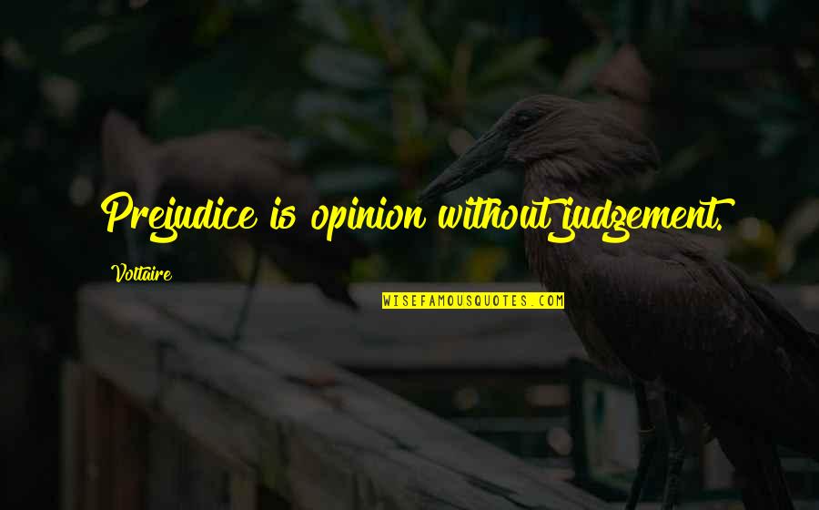 Music Makes Me Free Quotes By Voltaire: Prejudice is opinion without judgement.
