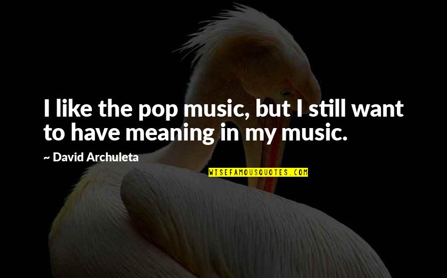 Music Meaning Quotes By David Archuleta: I like the pop music, but I still