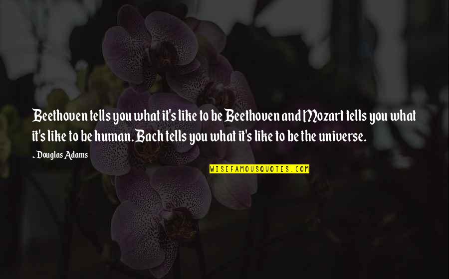 Music Mozart Quotes By Douglas Adams: Beethoven tells you what it's like to be