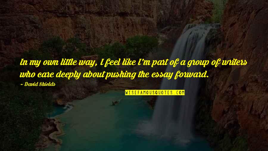 Music Of Rain Quotes By David Shields: In my own little way, I feel like