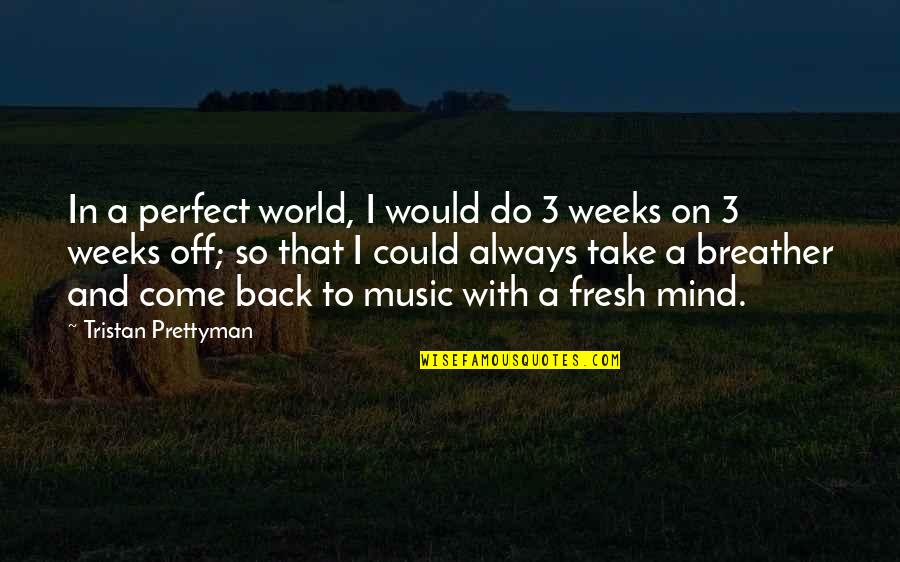 Music On World Off Quotes By Tristan Prettyman: In a perfect world, I would do 3 Music On World Off Quotes By Tristan Prettyman: In a perfect world, I would do 3