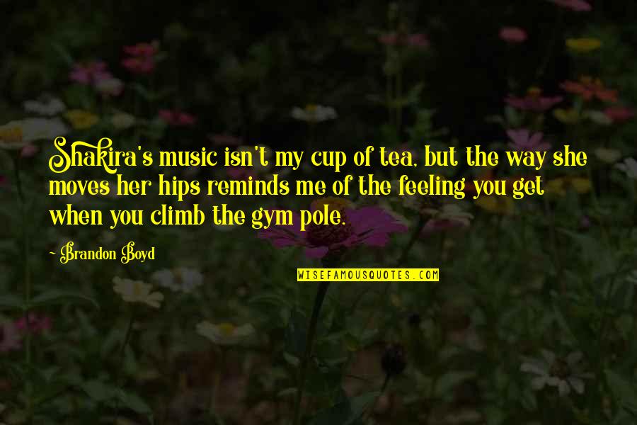Music Reminds Me Of You Quotes By Brandon Boyd: Shakira's music isn't my cup of tea, but Music Reminds Me Of You Quotes By Brandon Boyd: Shakira's music isn't my cup of tea, but