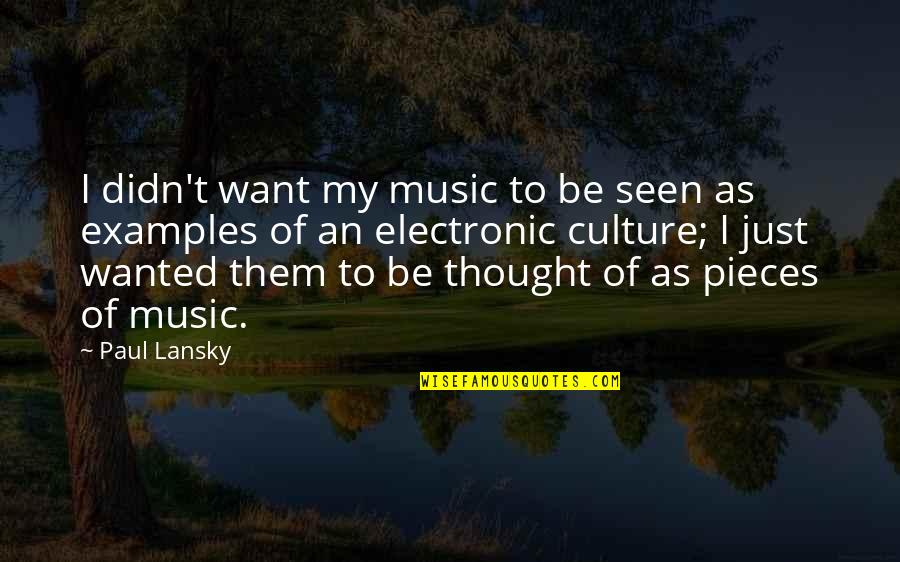 Music Thought Quotes By Paul Lansky: I didn't want my music to be seen