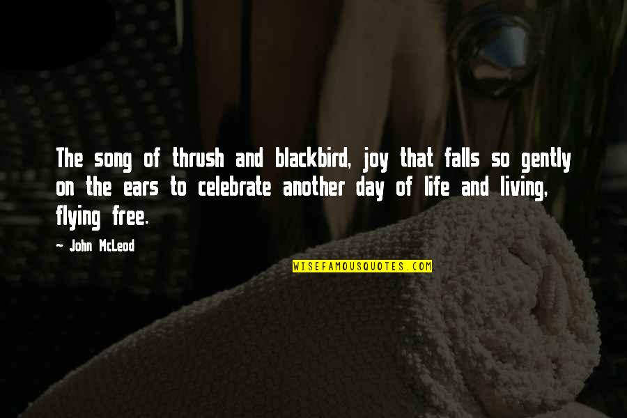 Music To My Ears Quotes By John McLeod: The song of thrush and blackbird, joy that Music To My Ears Quotes By John McLeod: The song of thrush and blackbird, joy that