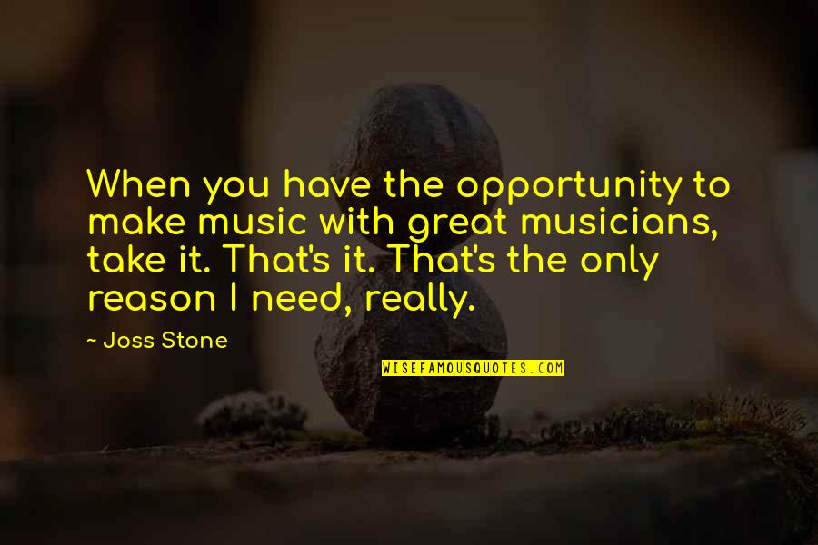 Musicians Music Quotes By Joss Stone: When you have the opportunity to make music