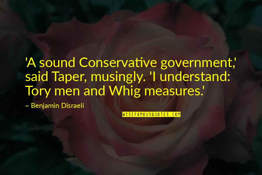 Musingly Quotes By Benjamin Disraeli: 'A sound Conservative government,' said Taper, musingly. 'I