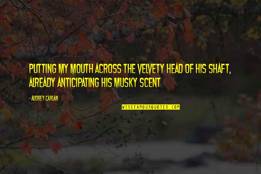 Musky Quotes By Audrey Carlan: putting my mouth across the velvety head of