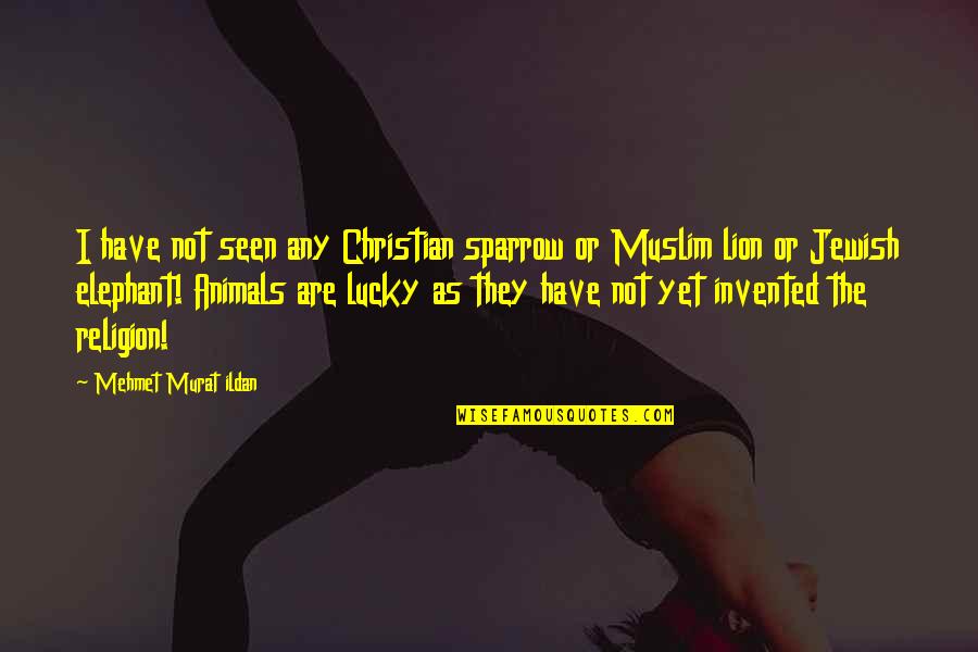 Muslim And Christian Quotes By Mehmet Murat Ildan: I have not seen any Christian sparrow or