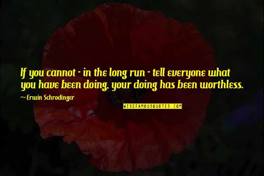 Must Have Done Something Right Quotes By Erwin Schrodinger: If you cannot - in the long run