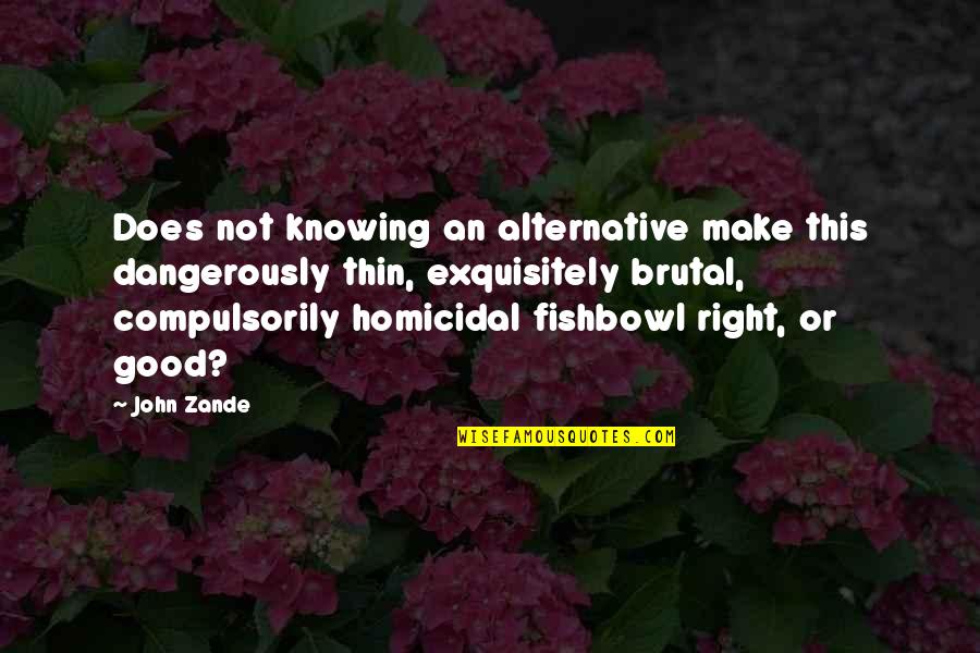 Must Visit Quotes By John Zande: Does not knowing an alternative make this dangerously