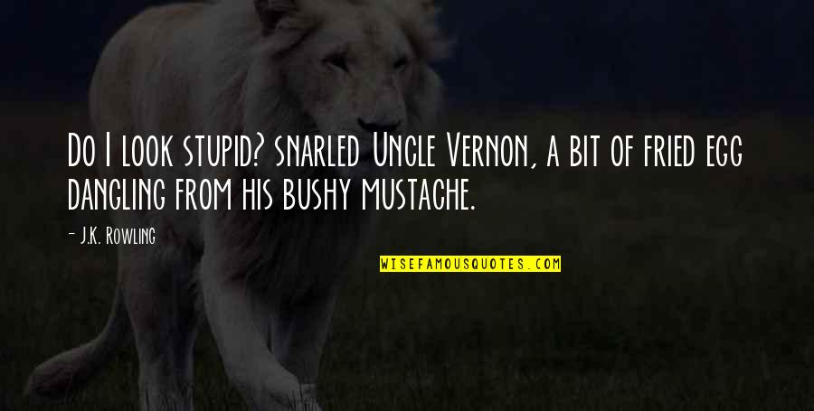 Mustache Quotes By J.K. Rowling: Do I look stupid? snarled Uncle Vernon, a