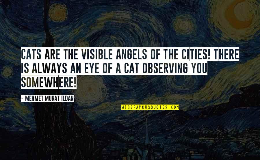 Mustahil Bagi Quotes By Mehmet Murat Ildan: Cats are the visible angels of the cities!