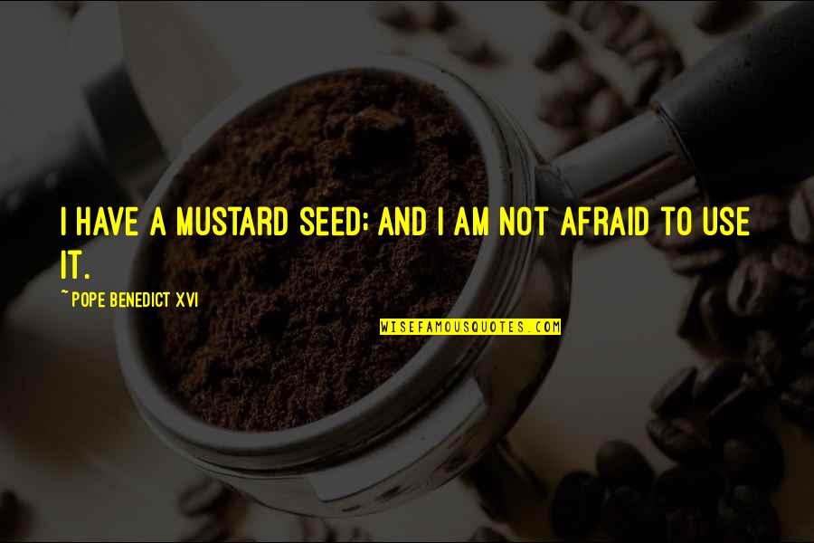Mustard Quotes By Pope Benedict XVI: I have a mustard seed; and I am