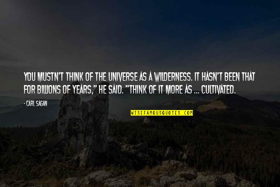 Mustn'ts Quotes By Carl Sagan: You mustn't think of the Universe as a