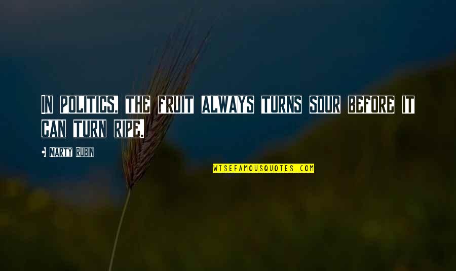 Musuroi De Pamant Quotes By Marty Rubin: In politics, the fruit always turns sour before