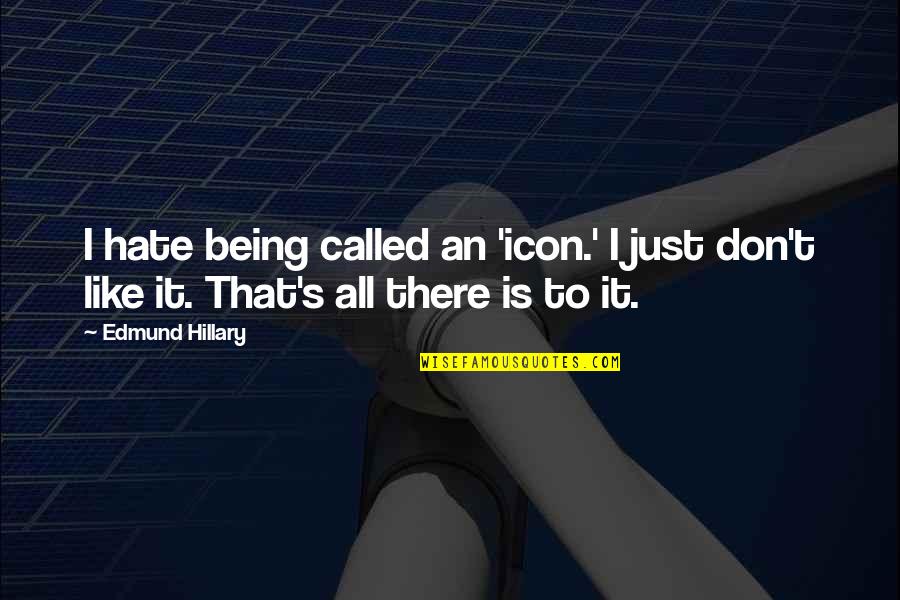 Mutakallemim Quotes By Edmund Hillary: I hate being called an 'icon.' I just