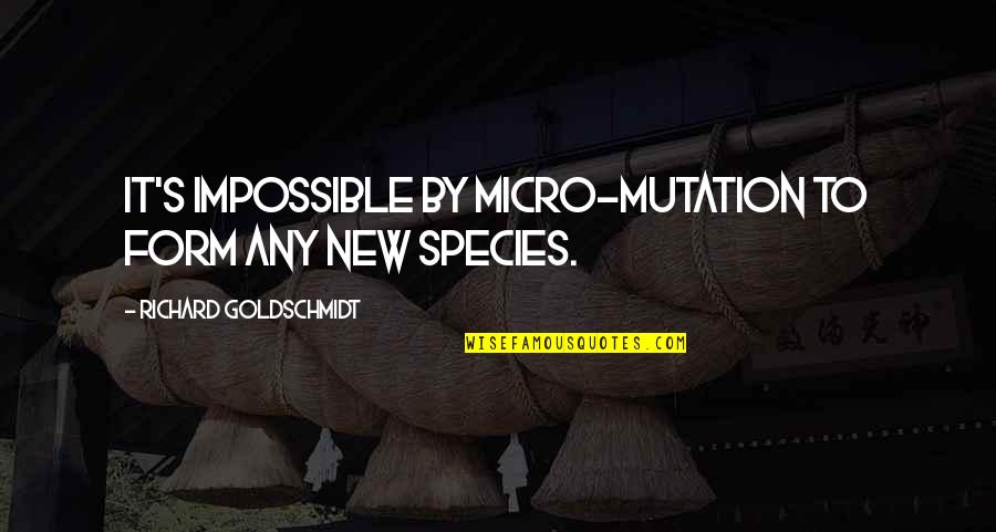 Mutation Quotes By Richard Goldschmidt: It's impossible by micro-mutation to form any new