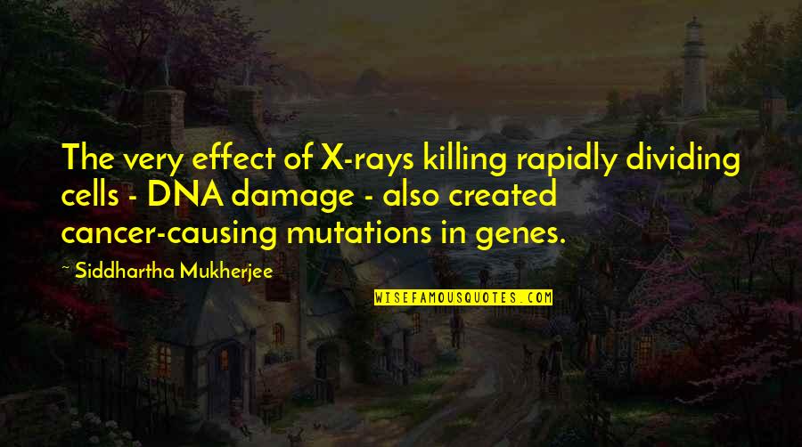 Mutations Quotes By Siddhartha Mukherjee: The very effect of X-rays killing rapidly dividing