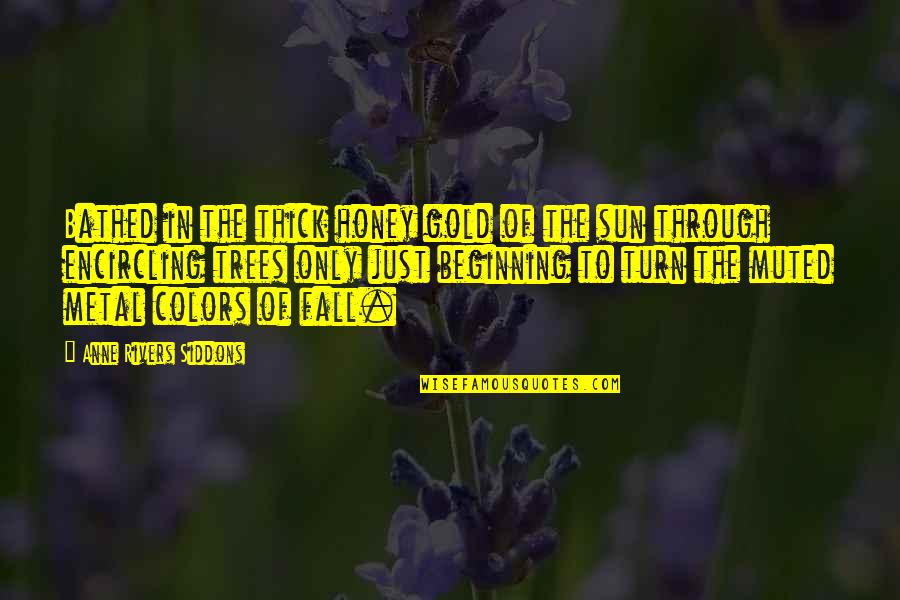 Muted Quotes By Anne Rivers Siddons: Bathed in the thick honey gold of the Muted Quotes By Anne Rivers Siddons: Bathed in the thick honey gold of the