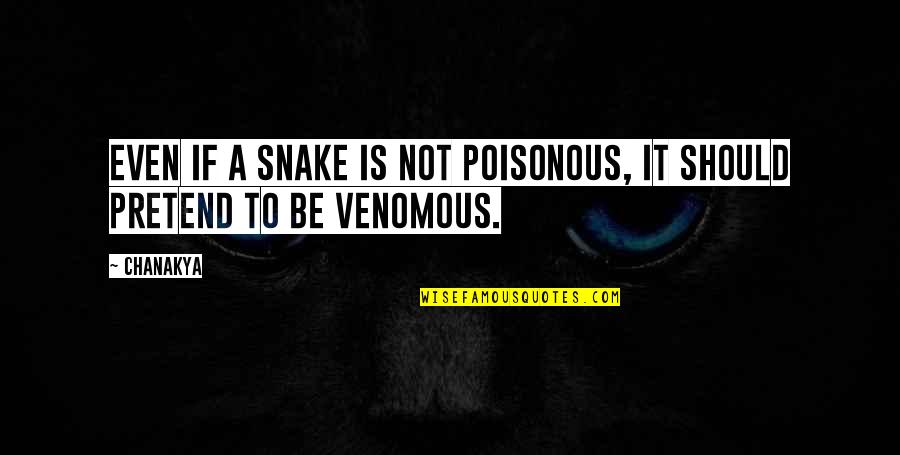 Mutilations Imdb Quotes By Chanakya: Even if a snake is not poisonous, it