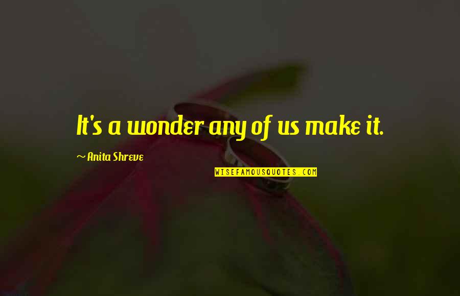 Mutolaah Quotes By Anita Shreve: It's a wonder any of us make it.