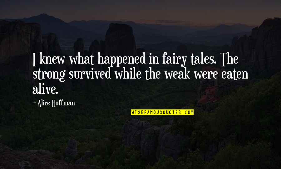 Mutualistic Quotes By Alice Hoffman: I knew what happened in fairy tales. The