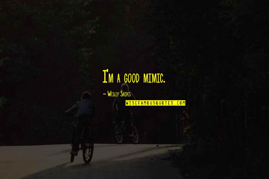 Mutwatch20 Quotes By Wesley Snipes: I'm a good mimic. Mutwatch20 Quotes By Wesley Snipes: I'm a good mimic.