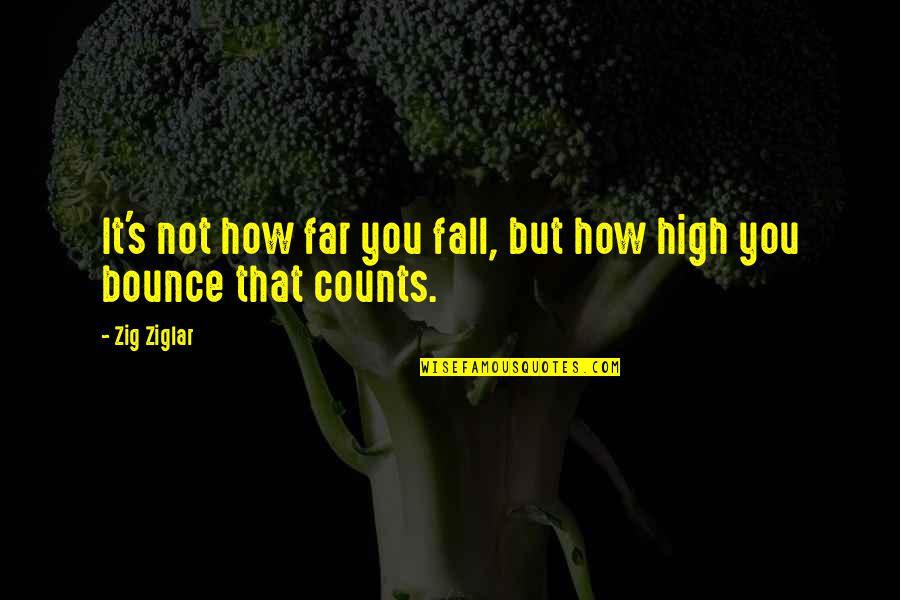 Muumuus Clearance Quotes By Zig Ziglar: It's not how far you fall, but how