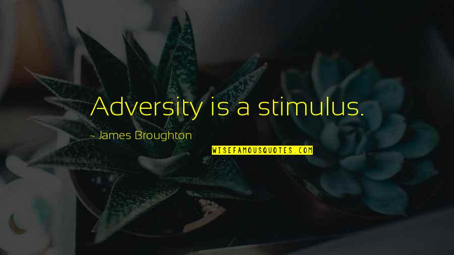 Muzaffer Tayyip Quotes By James Broughton: Adversity is a stimulus.