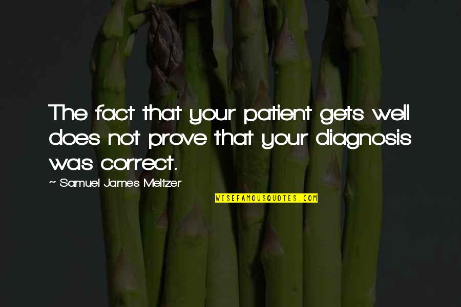 Muzeo Quotes By Samuel James Meltzer: The fact that your patient gets well does Muzeo Quotes By Samuel James Meltzer: The fact that your patient gets well does