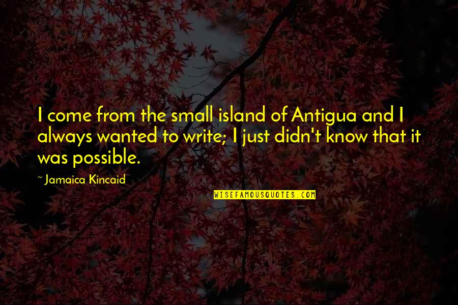 Muzik Greke Quotes By Jamaica Kincaid: I come from the small island of Antigua