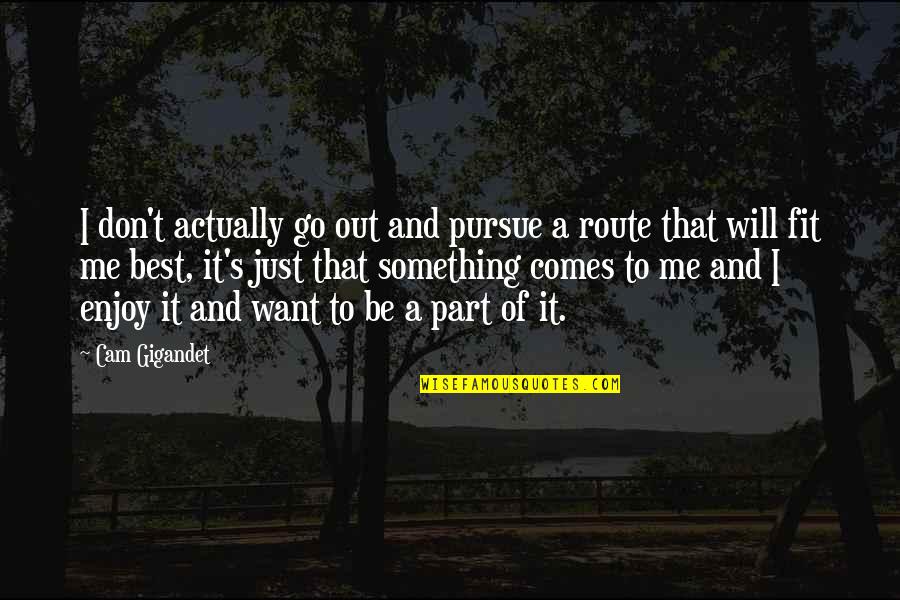Muzrabot Quotes By Cam Gigandet: I don't actually go out and pursue a