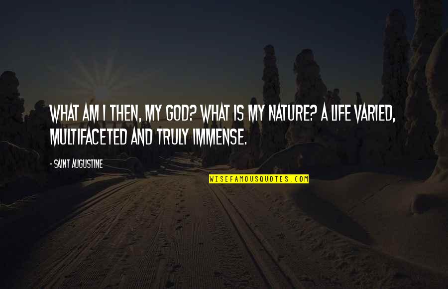 Mwaha Quotes By Saint Augustine: What am I then, my God? What is