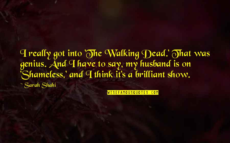 Mwamba Wa Quotes By Sarah Shahi: I really got into 'The Walking Dead.' That