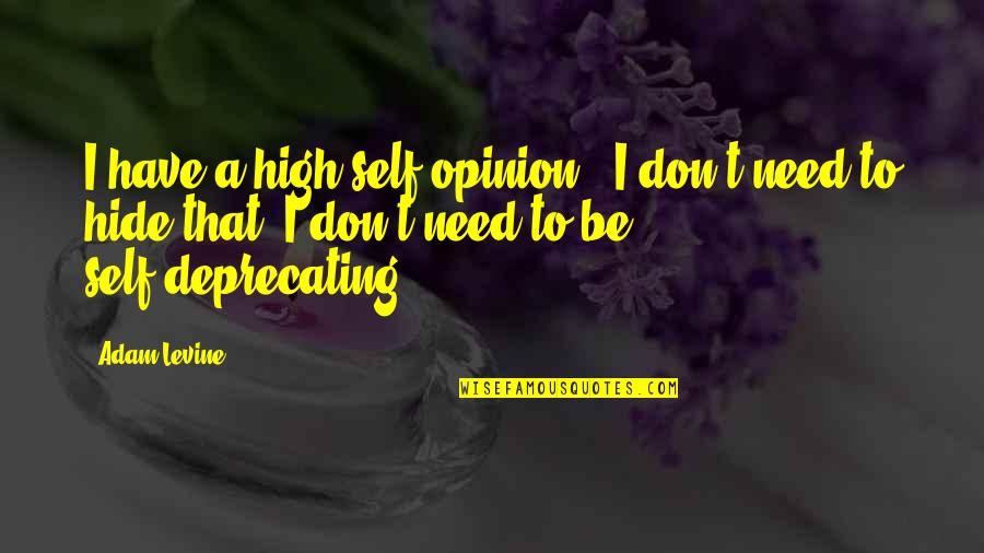 Mwendwa Kk Quotes By Adam Levine: I have a high self-opinion - I don't Mwendwa Kk Quotes By Adam Levine: I have a high self-opinion - I don't