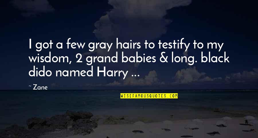 My 2 Babies Quotes By Zane: I got a few gray hairs to testify
