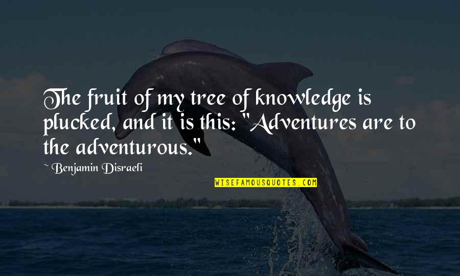 My Adventures Quotes By Benjamin Disraeli: The fruit of my tree of knowledge is