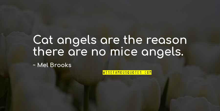 My Aim In Life To Become A Teacher Quotes By Mel Brooks: Cat angels are the reason there are no
